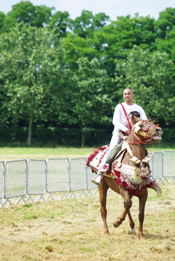 Le Moussem des Cultures 2008 090.jpg